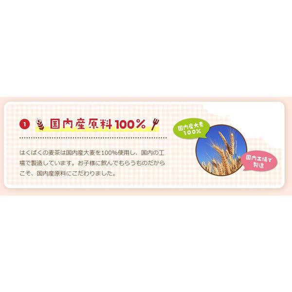 Japan Hakubaku Barley Tea Bags JB