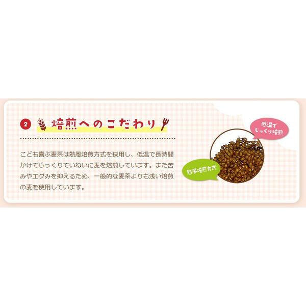 Japan Hakubaku Barley Tea Bags JB