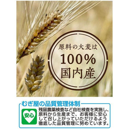 Japan Hakubaku Barley Tea Bags JB