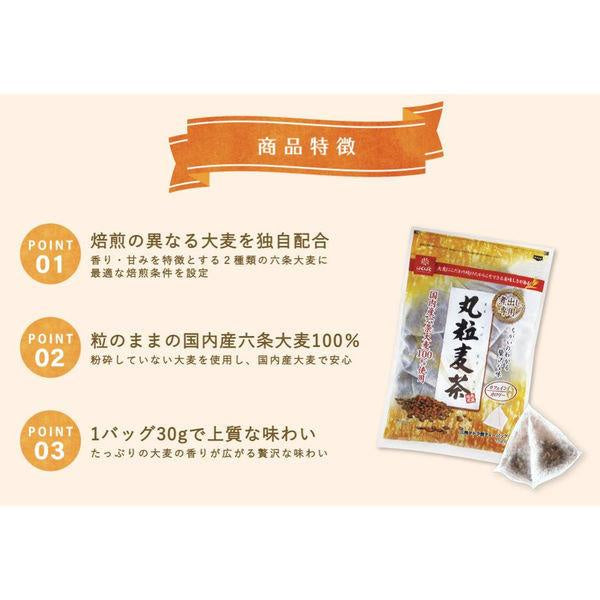 Japan Hakubaku Barley Tea Bags JB