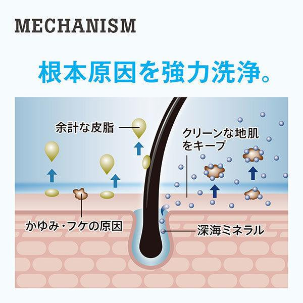 Japan H&S Volumizing Shampoo & Conditioner JB