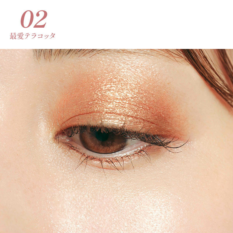 [Japan] Fujiko Shake Eyeshadow SV 03 French Powder 01 02 04 05