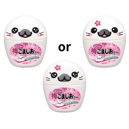 Marumiya Furikake in Container Series (18g / 20g / 22g / 26g)