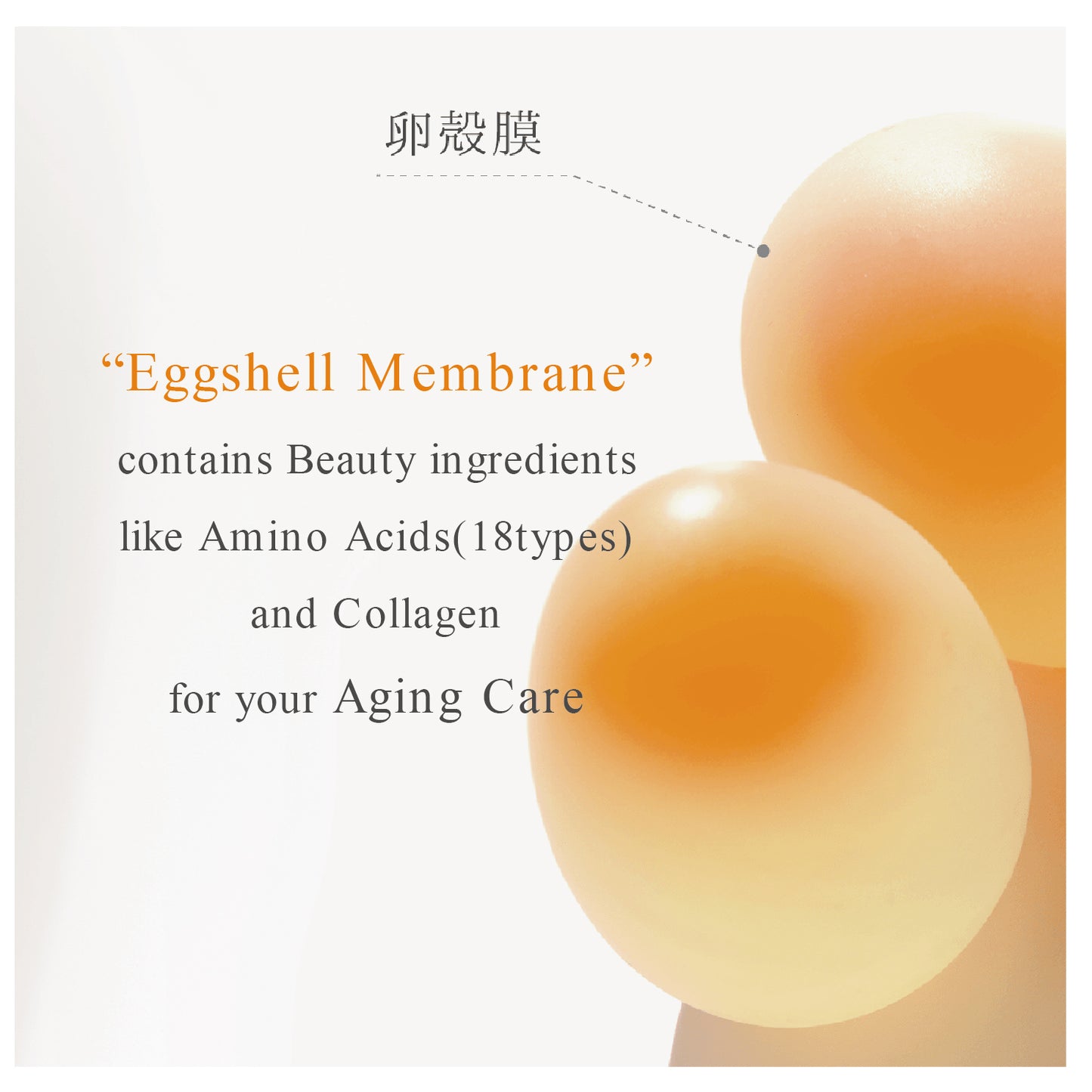 IKH Cocoegg Egg Foam face wash 500ml