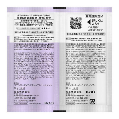 Kao THE ANSWER Shampoo and Treatment Trial Set