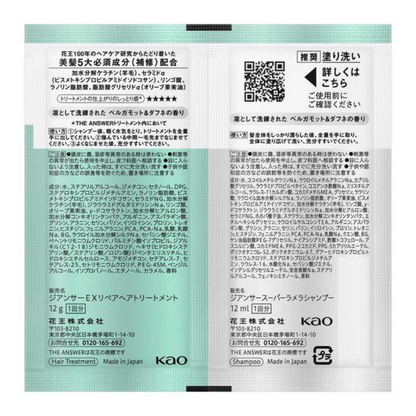 Kao THE ANSWER Shampoo and Treatment Trial Set