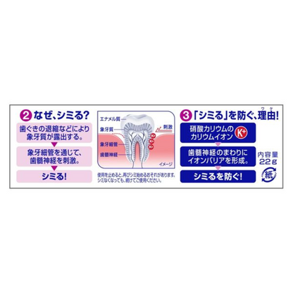 SENSODYNE Periodontal Disease Care 1450ppm Toothpaste with Medicated High Concentration Fluoride 22g