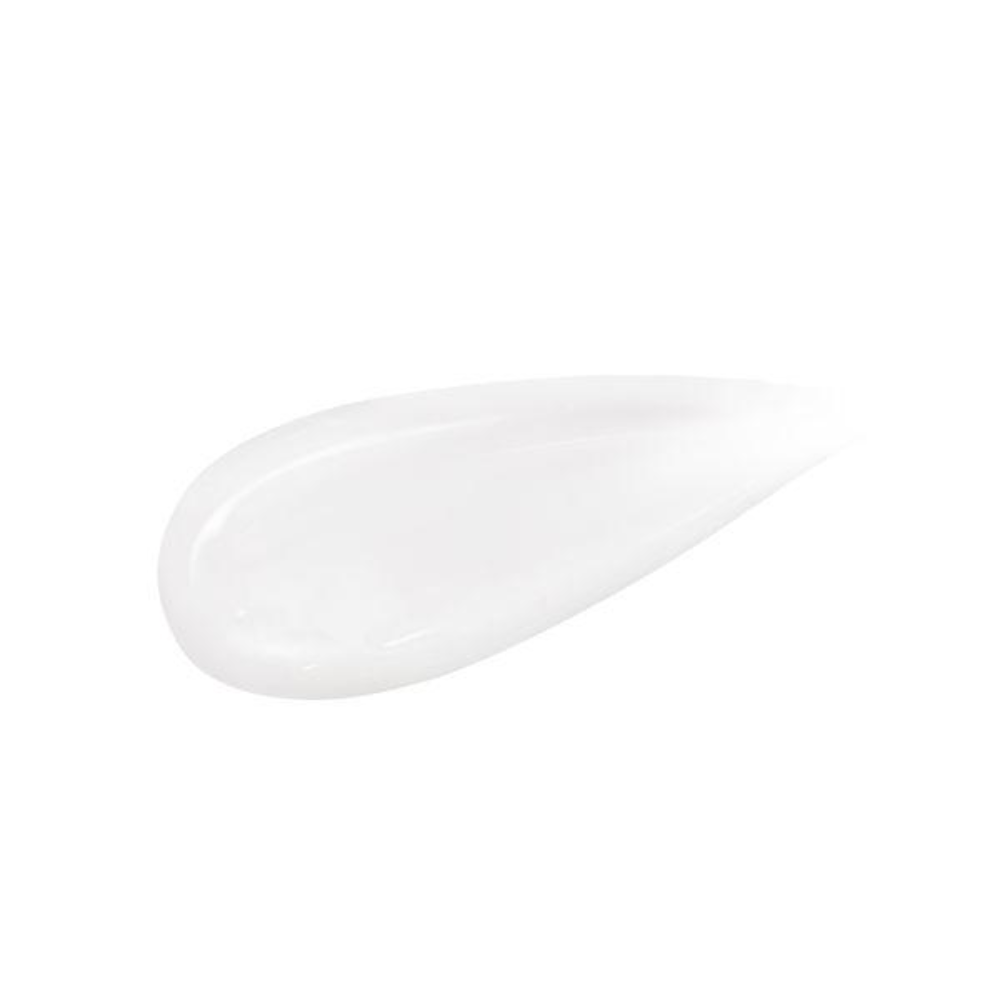 TOKIWA PHARM. SANA Nameraka Honpo Medicinal Wrinkle Gel Cream White (100g / Refill 100g)