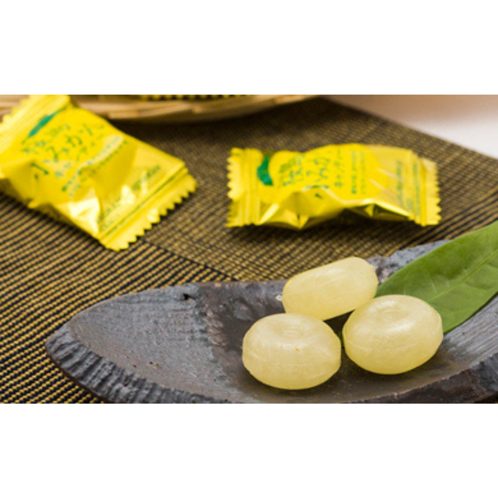 [KAGOSHIMA] FUJIYAAME - Sakurajima Small Mandarin Candy - 80g