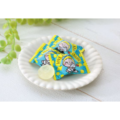 [KAGOSHIMA] FUJIYAAME Love Lemon Candy 70g