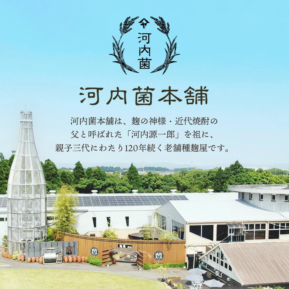 [KAGOSHIMA] KAWAUCHI HONPO - Tea Koji Enzyme Supplement - 62 capsules