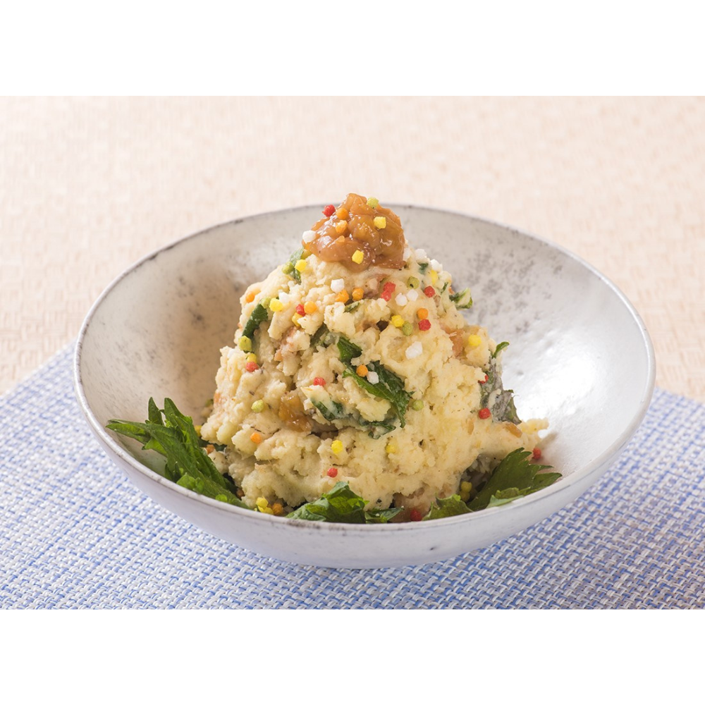 [Kagoshima] SOUTHERN FOODS COMPANY Katsuobushi Master's Premium Vegetable Dashi (10 Packs)