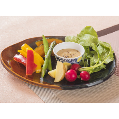 [Kagoshima] SOUTHERN FOODS COMPANY Katsuobushi Master's Premium Vegetable Dashi (10 Packs)