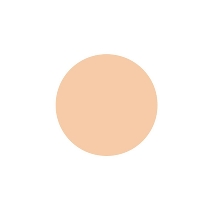 KOSE COSME DECORTE The Skin Powder Foundation Air 202 Refill 8.5g