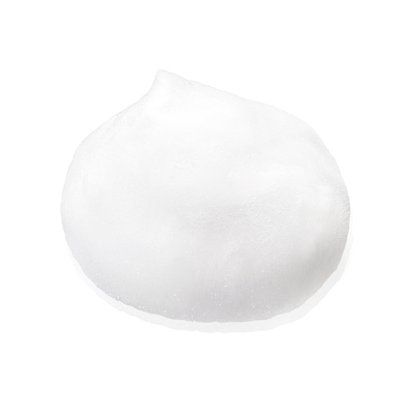 SHISEIDO 2E 2e Face Wash Mousse 120ml